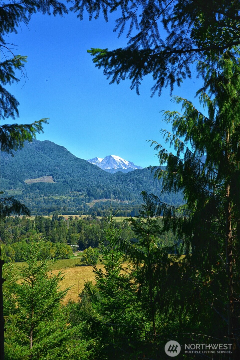 3 Skinner Road , Randle, WA 98377