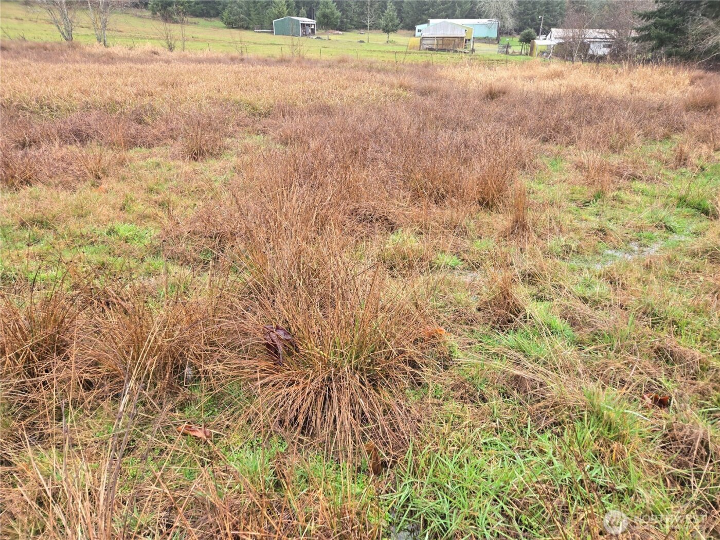 754 Cousins Road , Chehalis, WA 98532