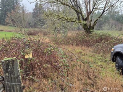 754 Cousins Road , Chehalis, WA 98532 - Photo 22