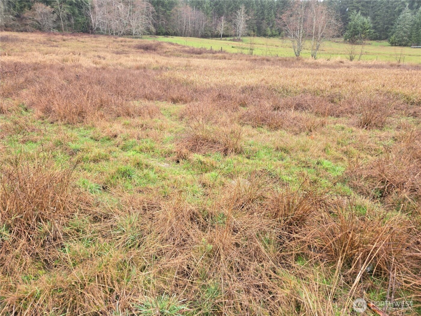 754 Cousins Road , Chehalis, WA 98532