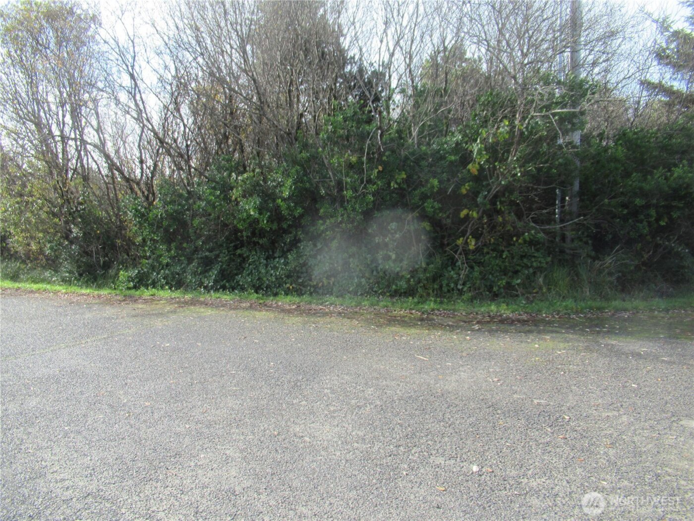 0 Driftwood Dr Drive , Ocean Shores, WA 98569