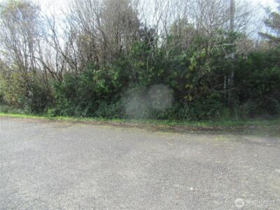 0 Driftwood Dr Drive , Ocean Shores, WA 98569 - Photo 1