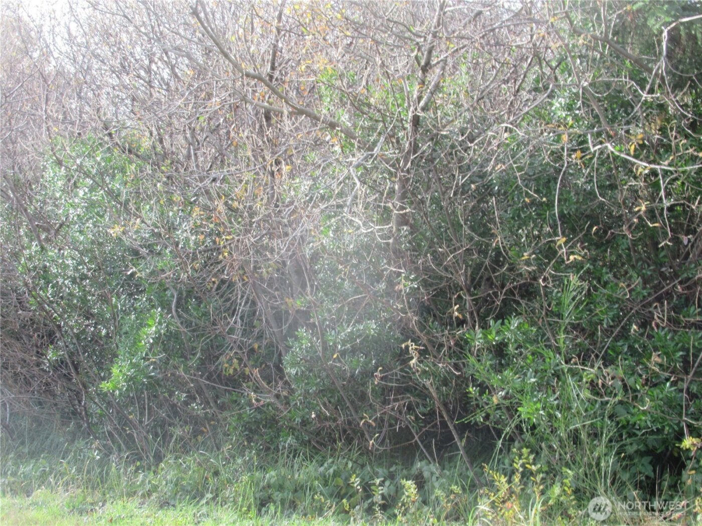 0 Driftwood Dr Drive , Ocean Shores, WA 98569