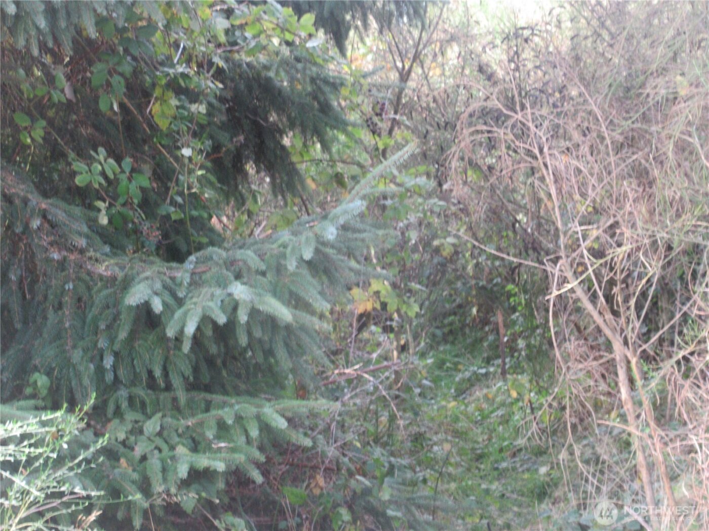 0 Driftwood Dr Drive , Ocean Shores, WA 98569