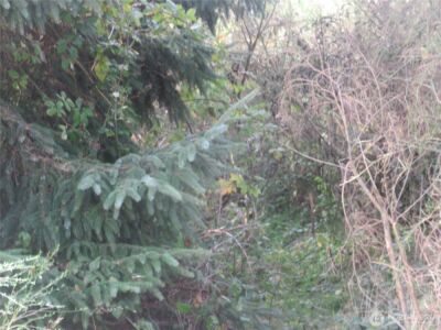 0 Driftwood Dr Drive , Ocean Shores, WA 98569 - Photo 3