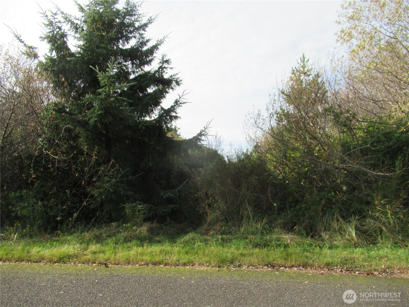 0 Driftwood Dr Drive , Ocean Shores, WA 98569