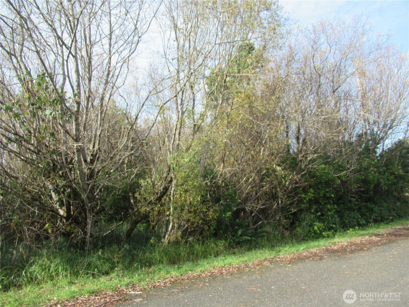 0 Driftwood Dr Drive , Ocean Shores, WA 98569