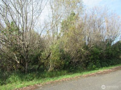 0 Driftwood Dr Drive , Ocean Shores, WA 98569 - Photo 5