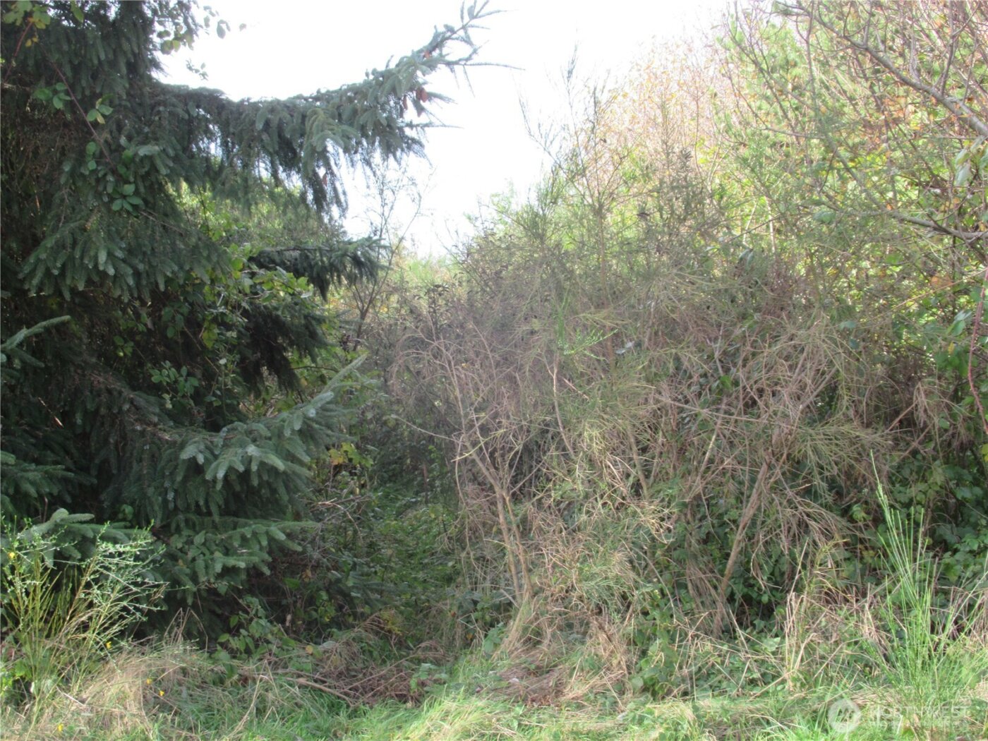 0 Driftwood Dr Drive , Ocean Shores, WA 98569