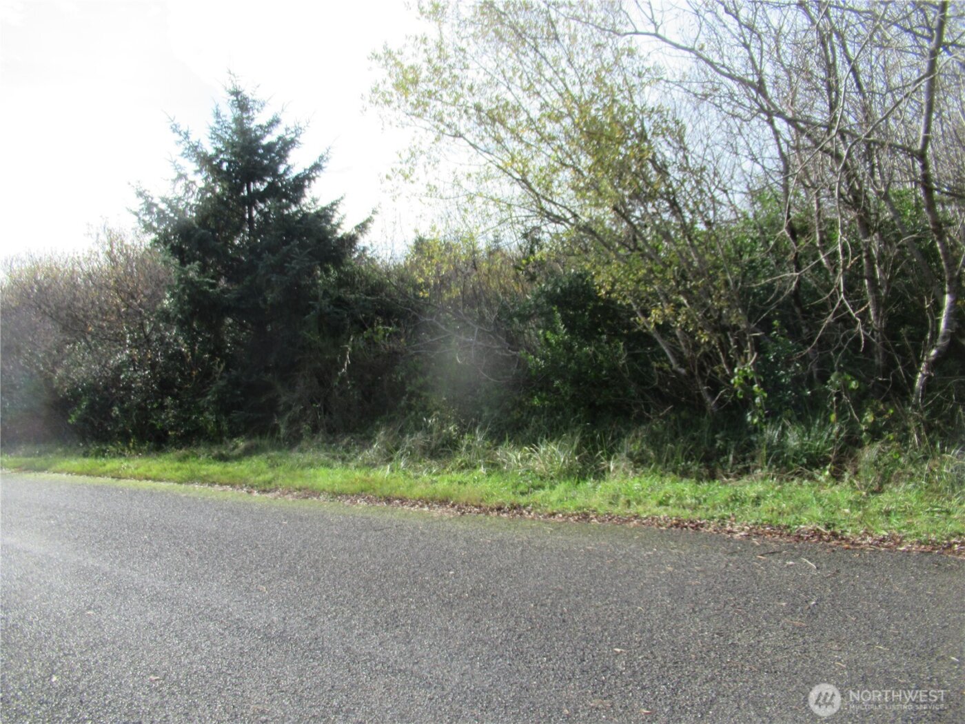 0 Driftwood Dr Drive , Ocean Shores, WA 98569