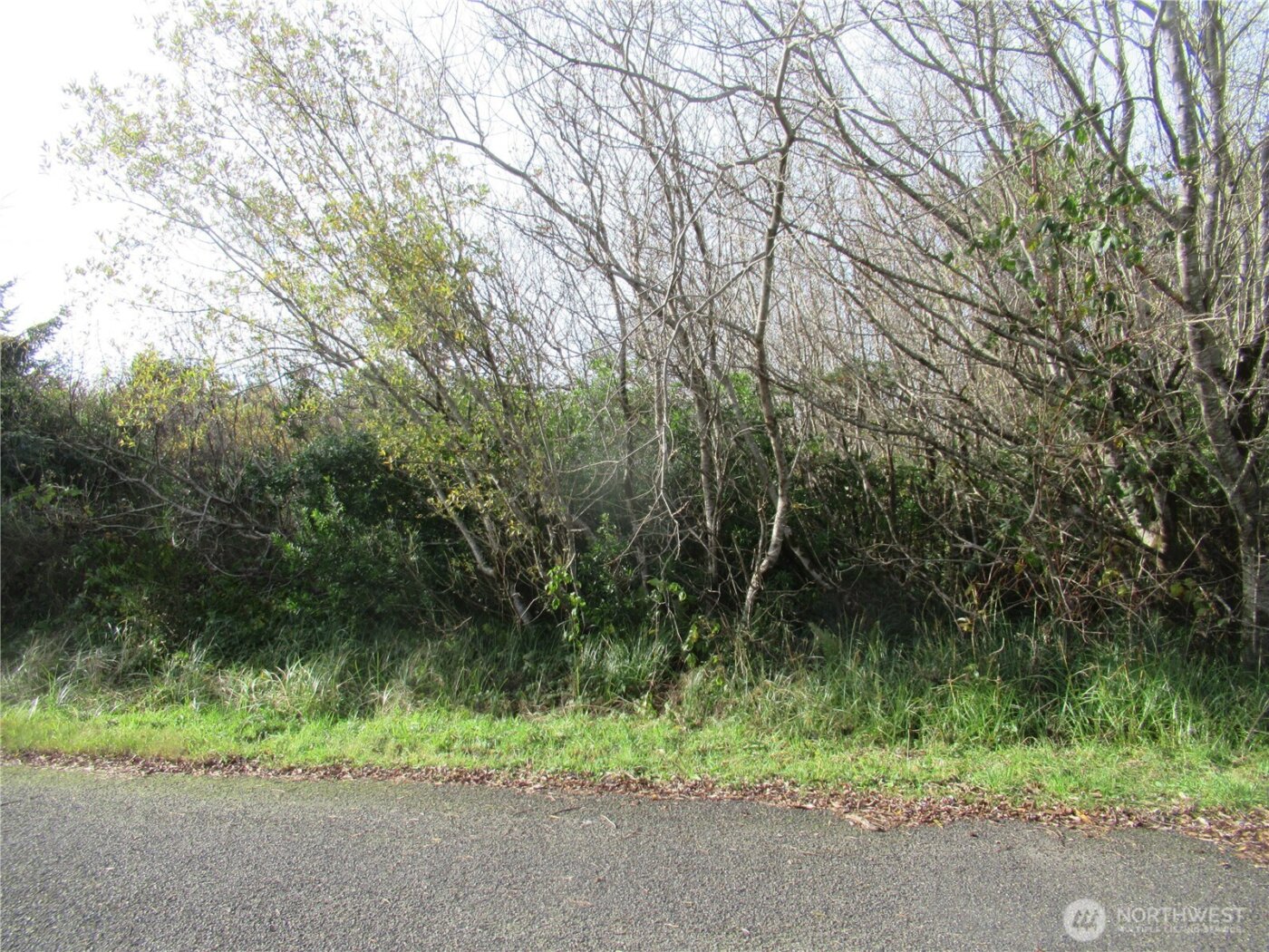 0 Driftwood Dr Drive , Ocean Shores, WA 98569