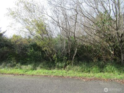 0 Driftwood Dr Drive , Ocean Shores, WA 98569 - Photo 8