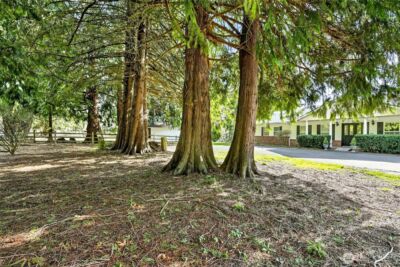 20070 Park Ridge Lane , Sedro Woolley, WA 98284 - Photo 39