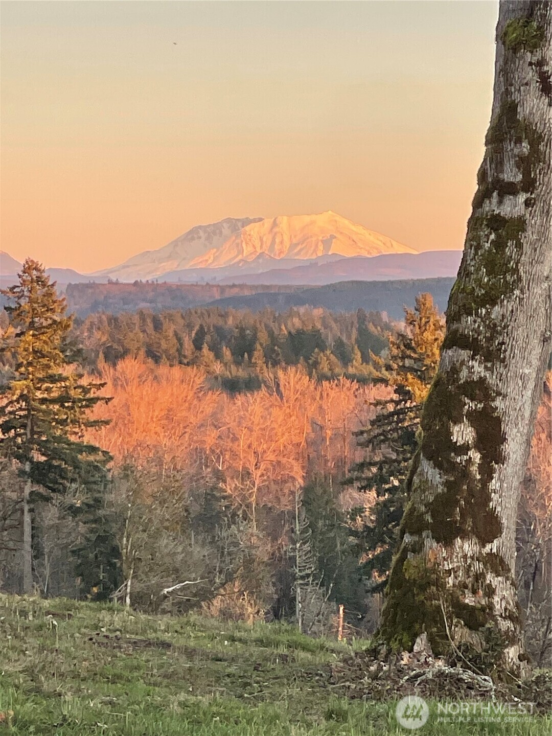 240 Rakoz Road , Toledo, WA 98591