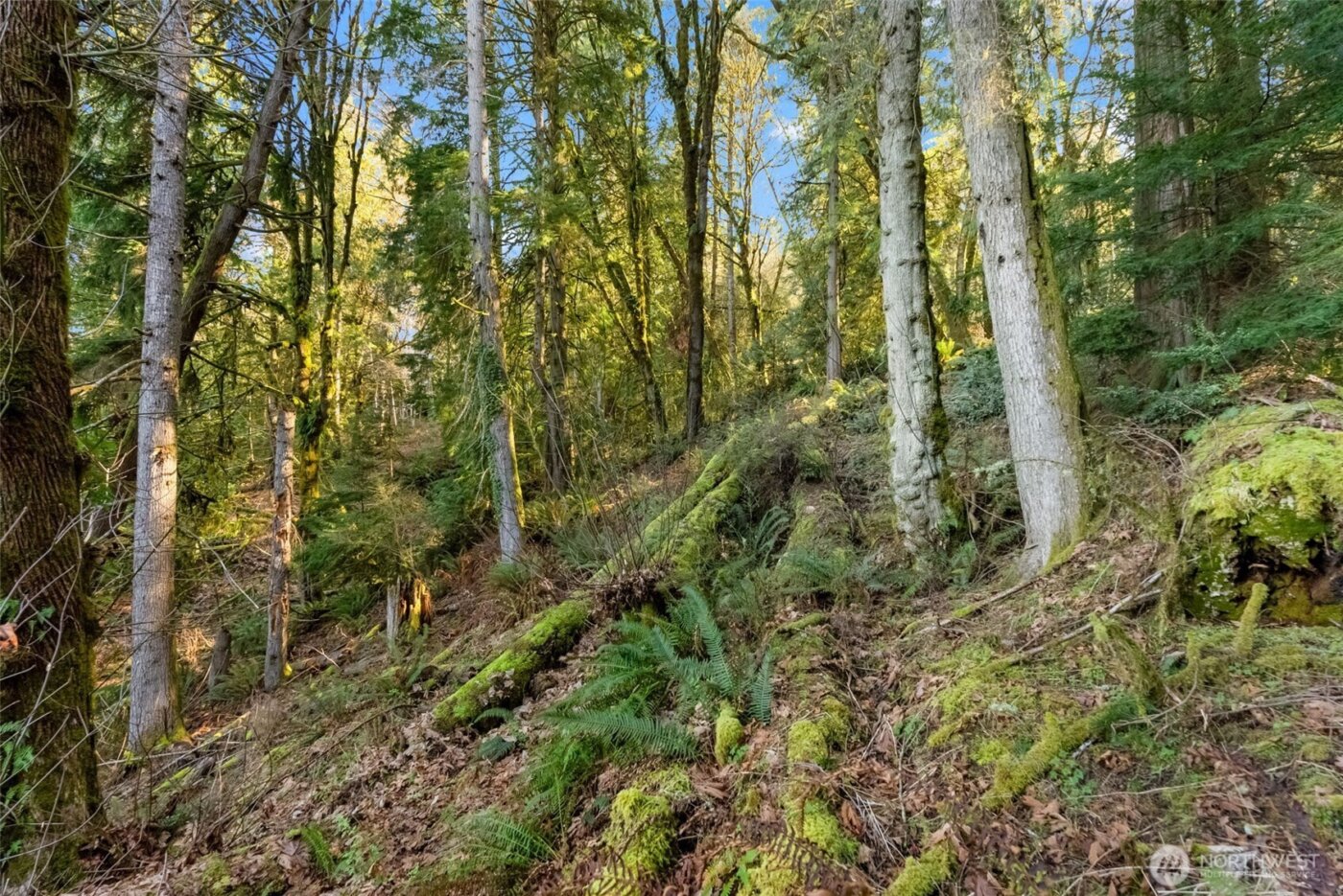 0 Talmo Drive NW, Gig Harbor, WA 98332