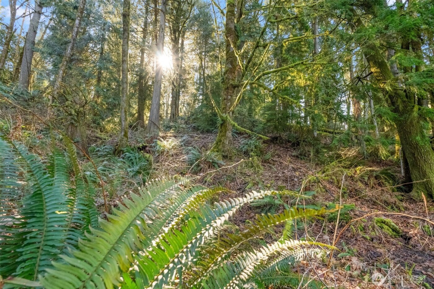 0 Talmo Drive NW, Gig Harbor, WA 98332