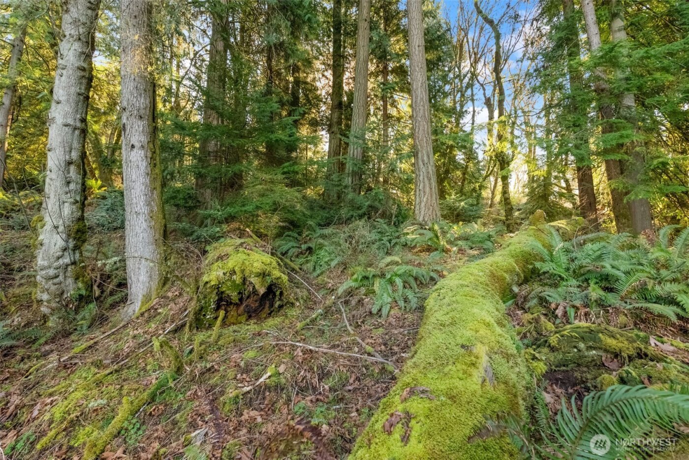 0 Talmo Drive NW, Gig Harbor, WA 98332