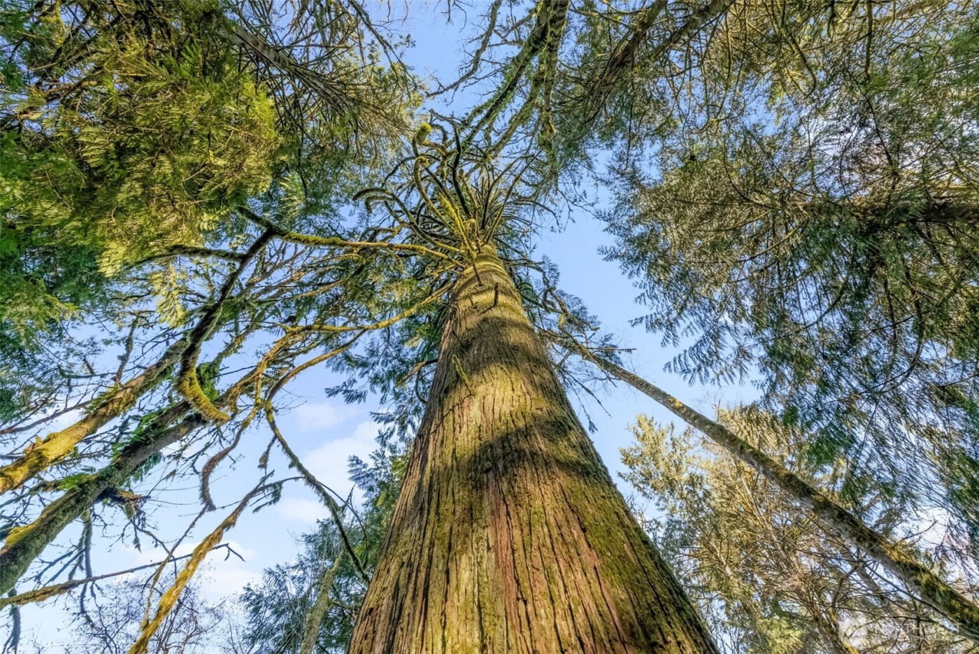 0 Talmo Drive NW, Gig Harbor, WA 98332