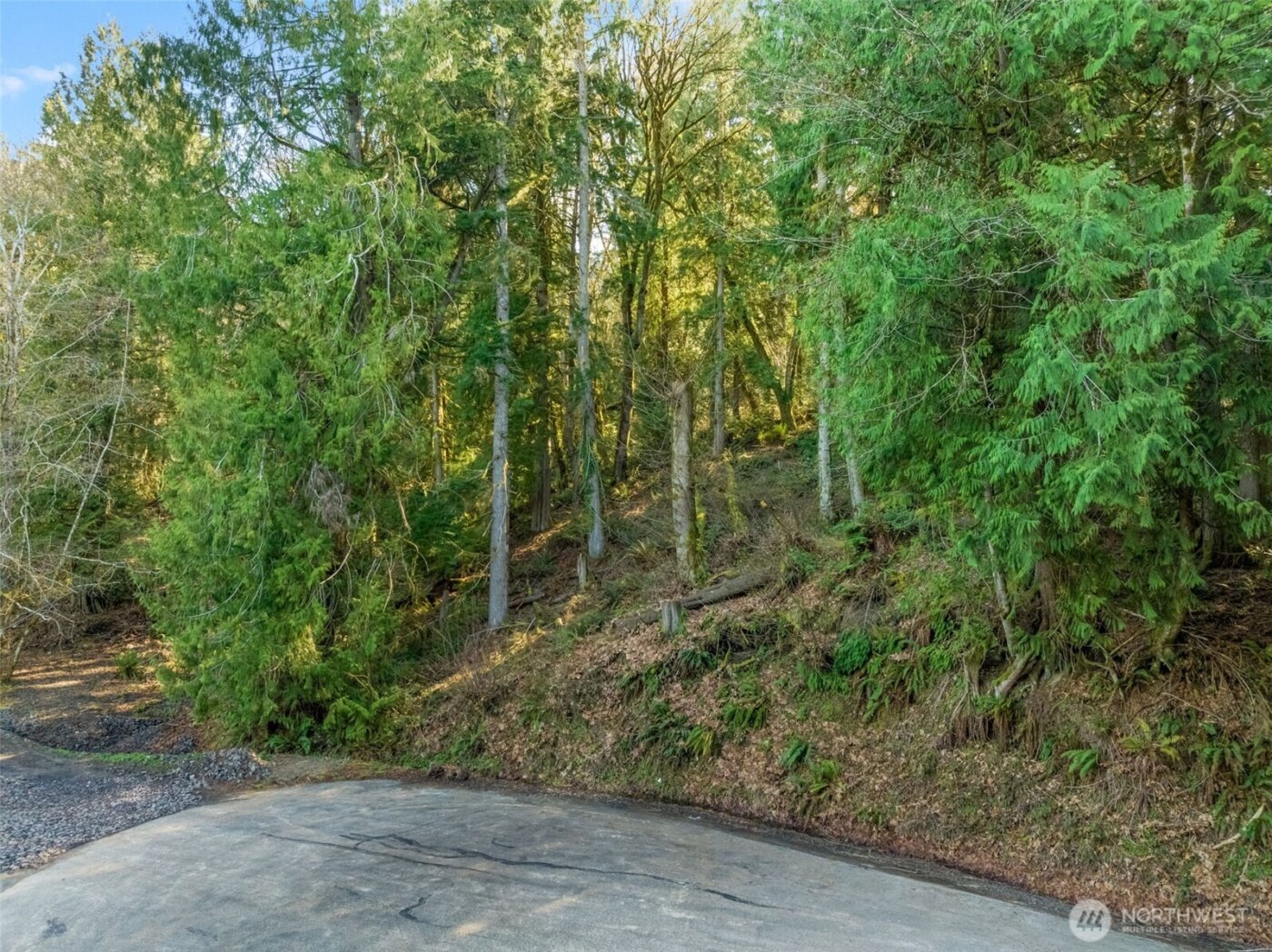 0 Talmo Drive NW, Gig Harbor, WA 98332