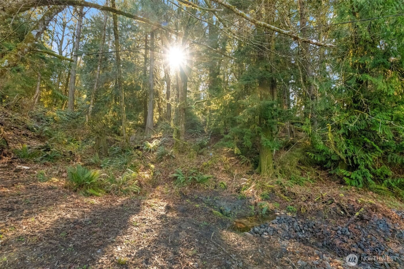 0 Talmo Drive NW, Gig Harbor, WA 98332