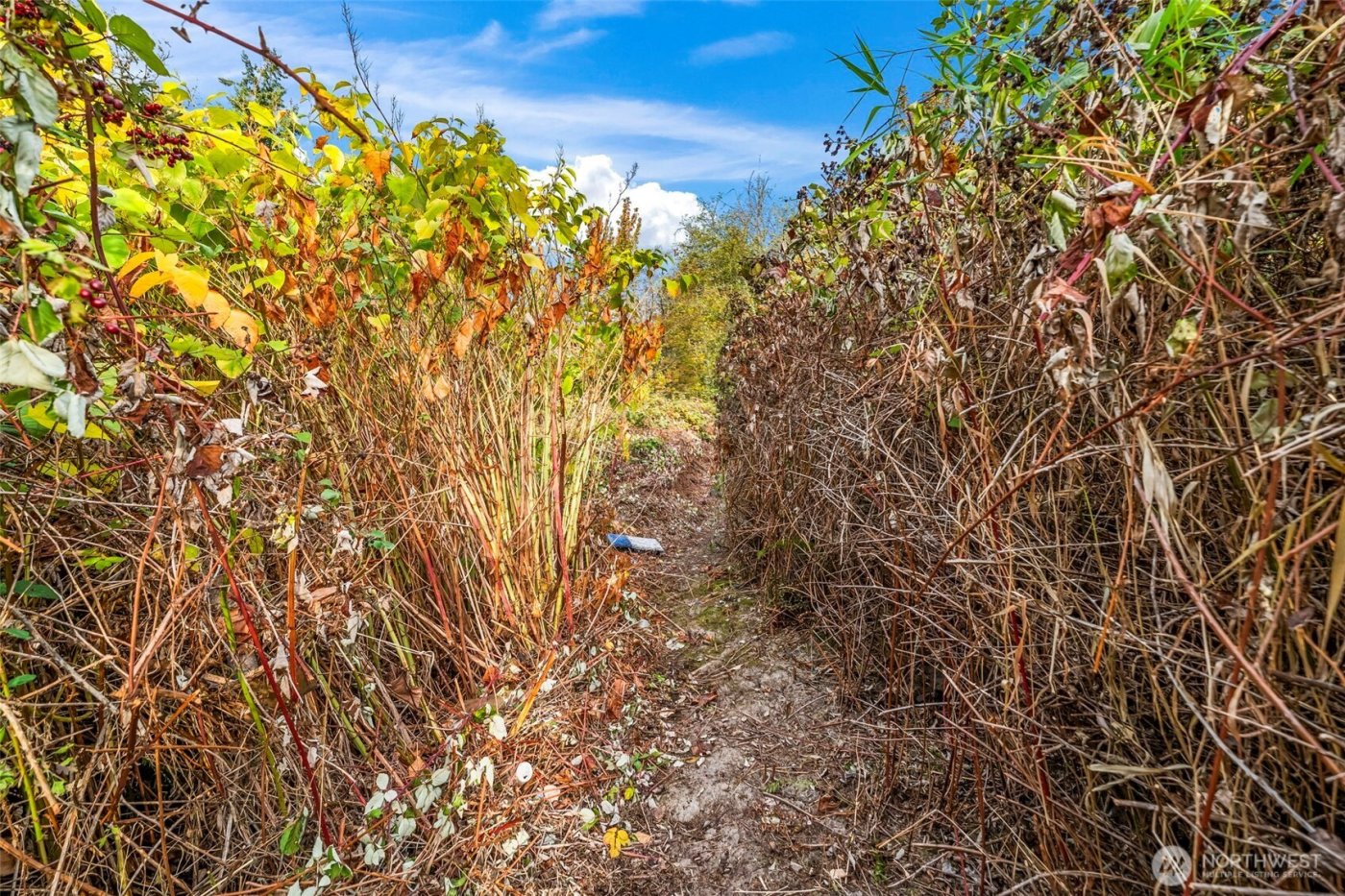 0 Fir Street and Emerald Street Street , Milton, WA 98354