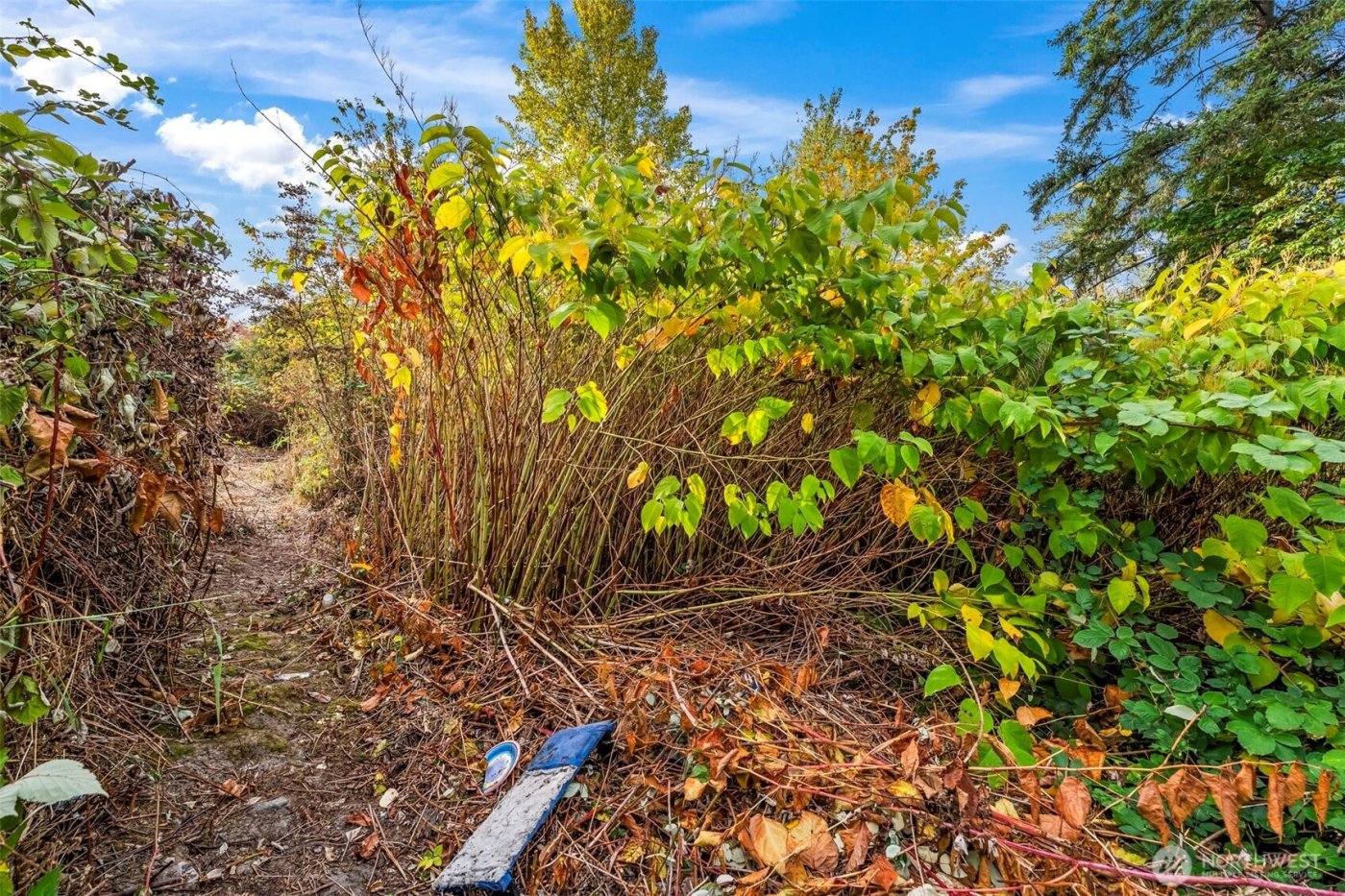 0 Fir Street and Emerald Street Street , Milton, WA 98354