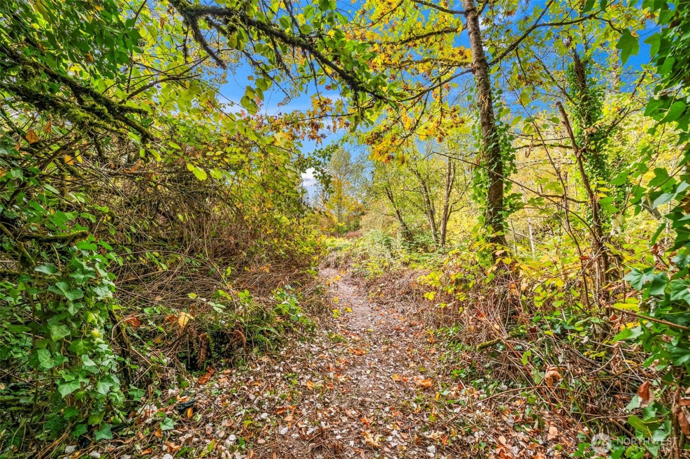 0 Fir Street and Emerald Street Street , Milton, WA 98354