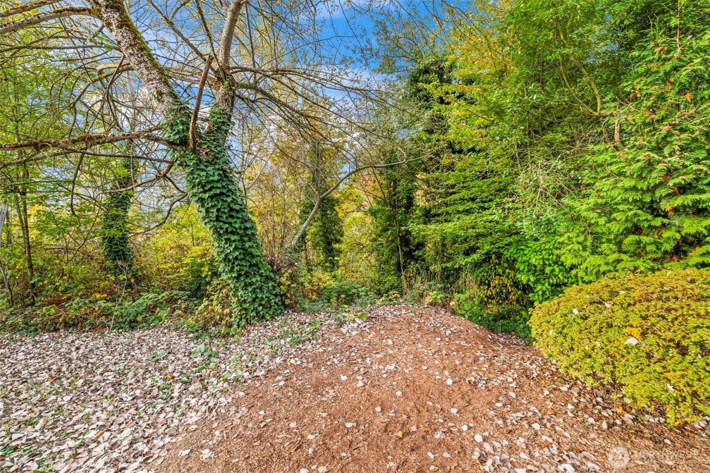 0 Fir Street and Emerald Street Street , Milton, WA 98354