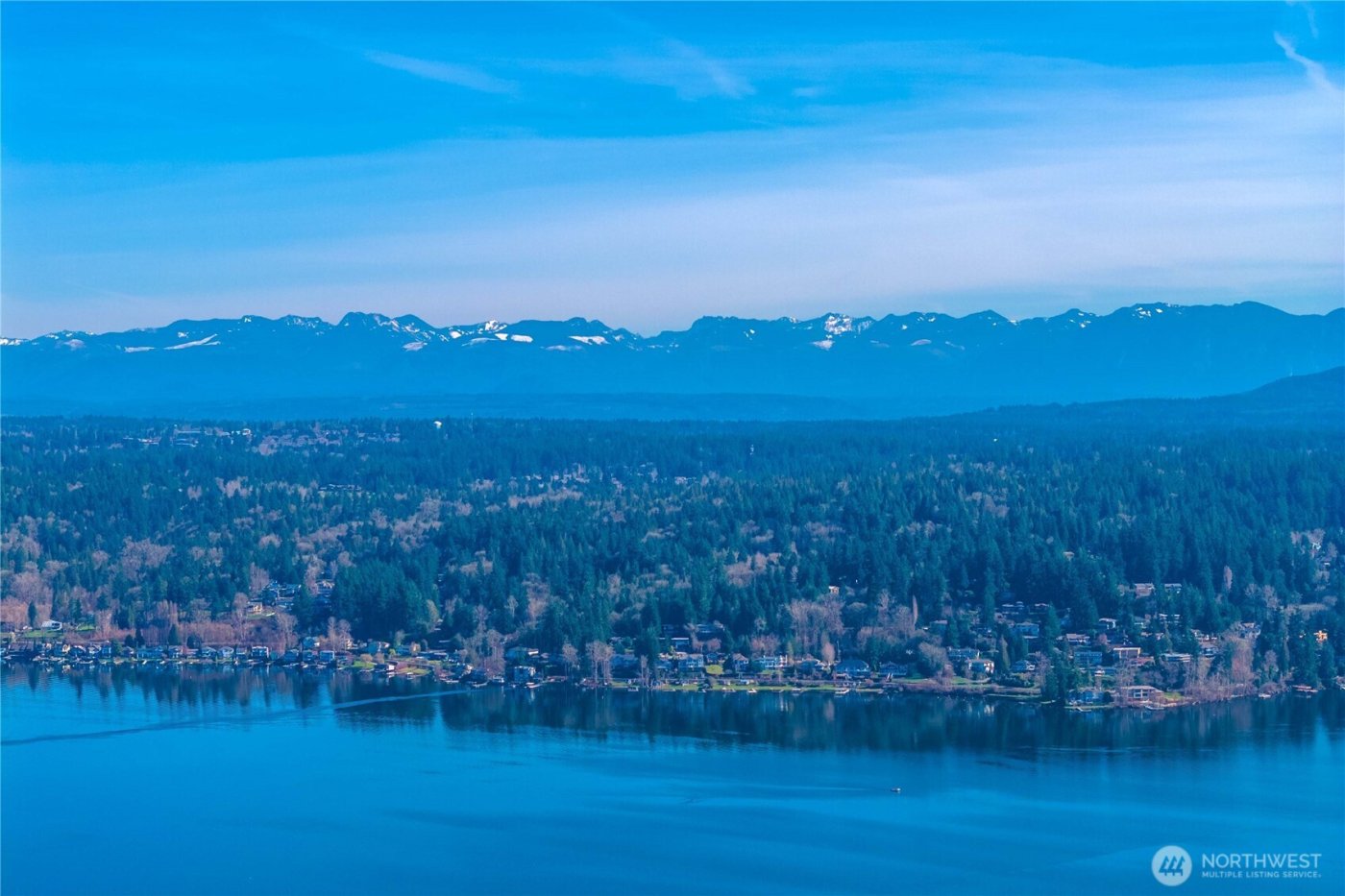 17003 SE 14th Lane , Bellevue, WA 98008