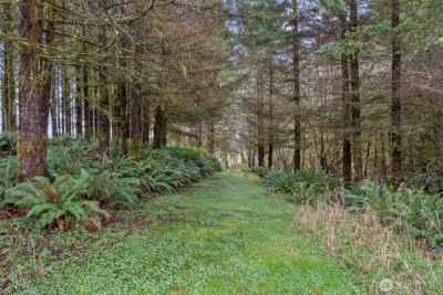 570 Wynooche Valley Road , Montesano, WA 98563 - Photo 23