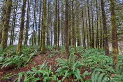 570 Wynooche Valley Road , Montesano, WA 98563 - Photo 24