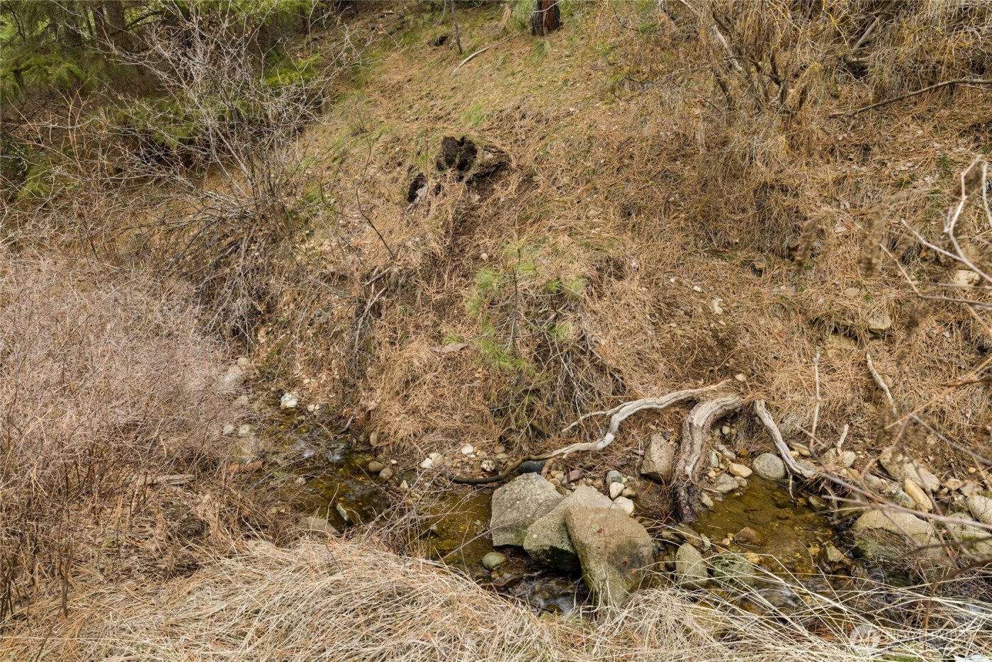 131 Casassa Road , Cle Elum, WA 98922