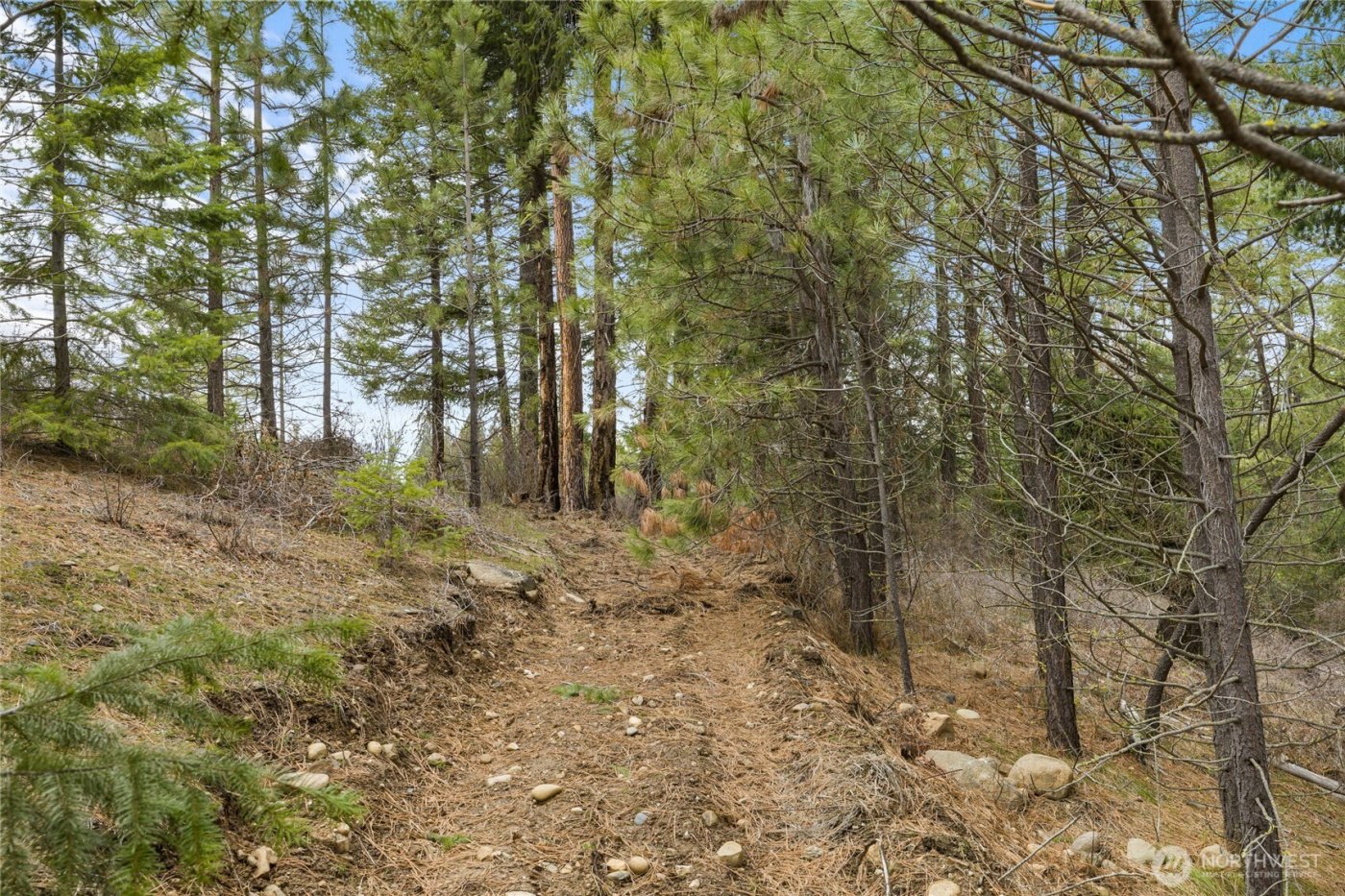 131 Casassa Road , Cle Elum, WA 98922