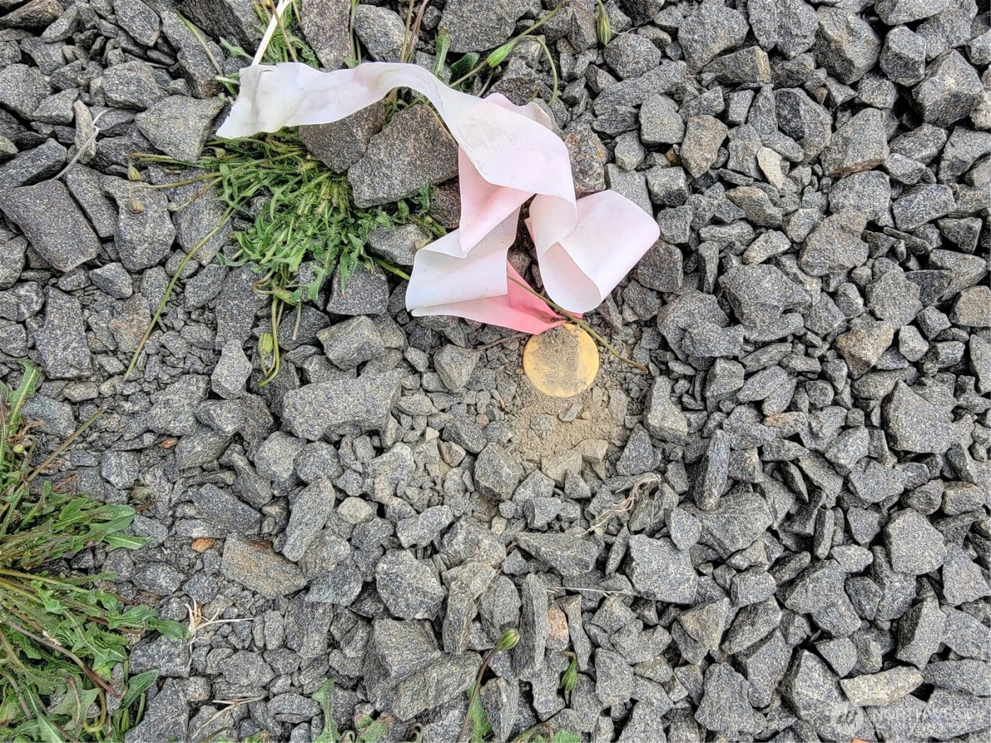 34515 I Street , Ocean Park, WA 98640