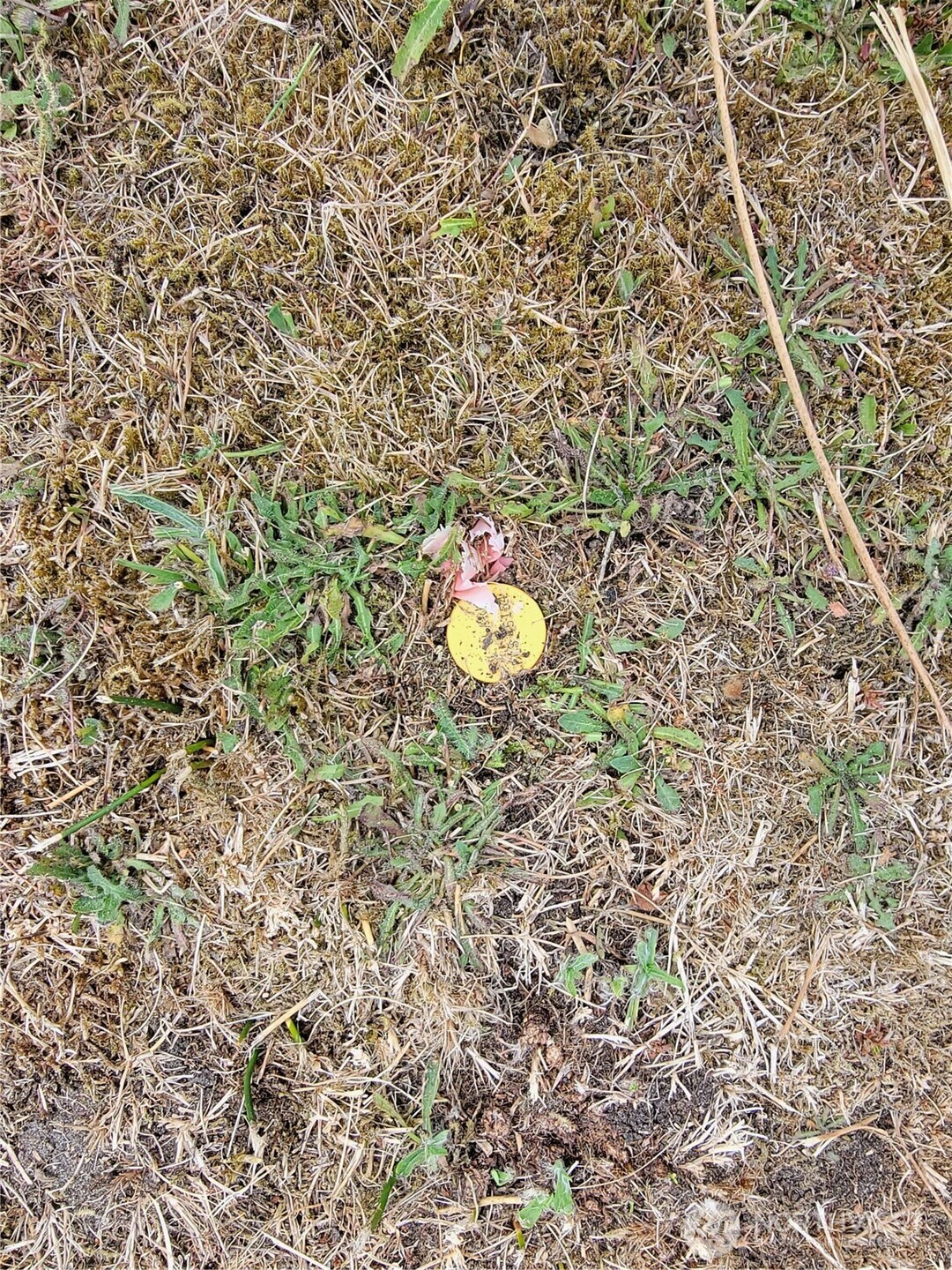 34515 I Street , Ocean Park, WA 98640