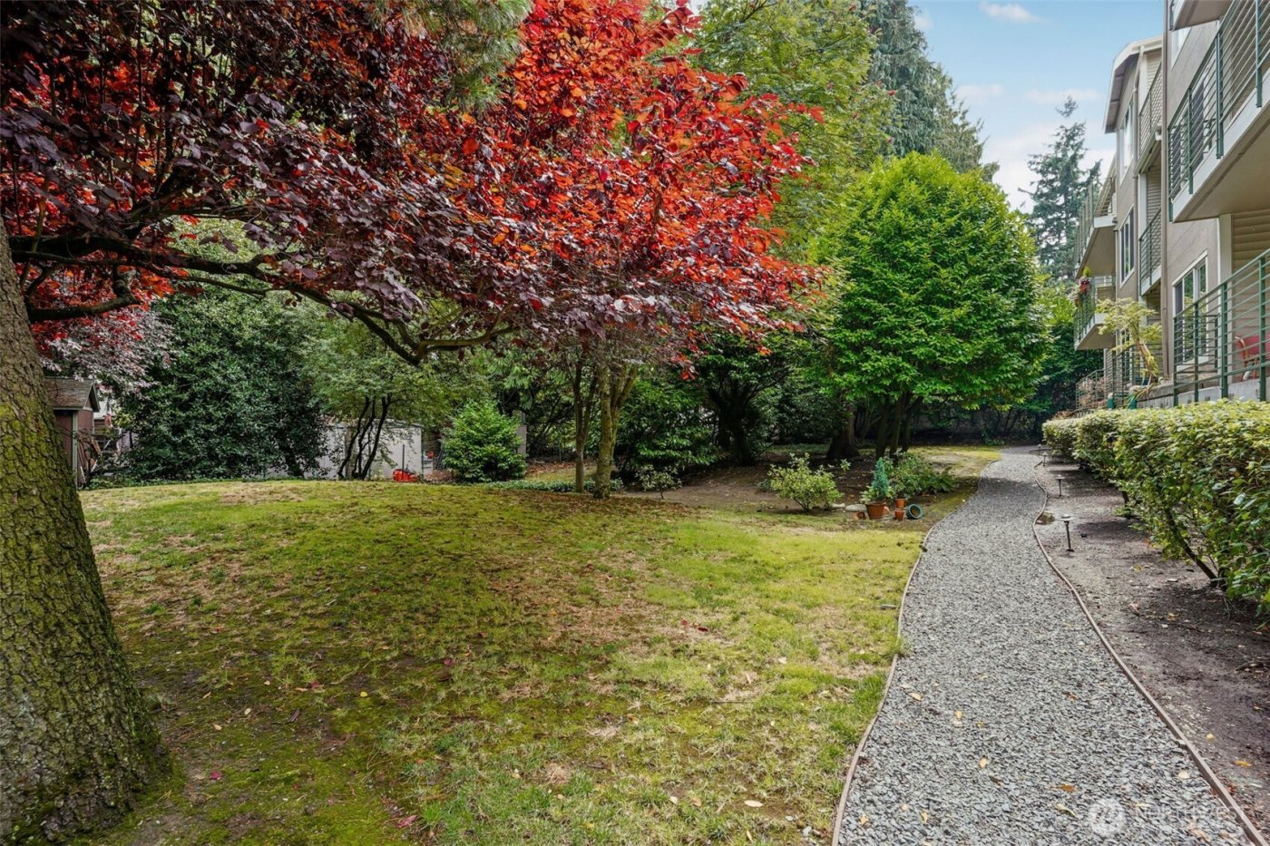 12034 15th Avenue NE #204, Seattle, WA 98125