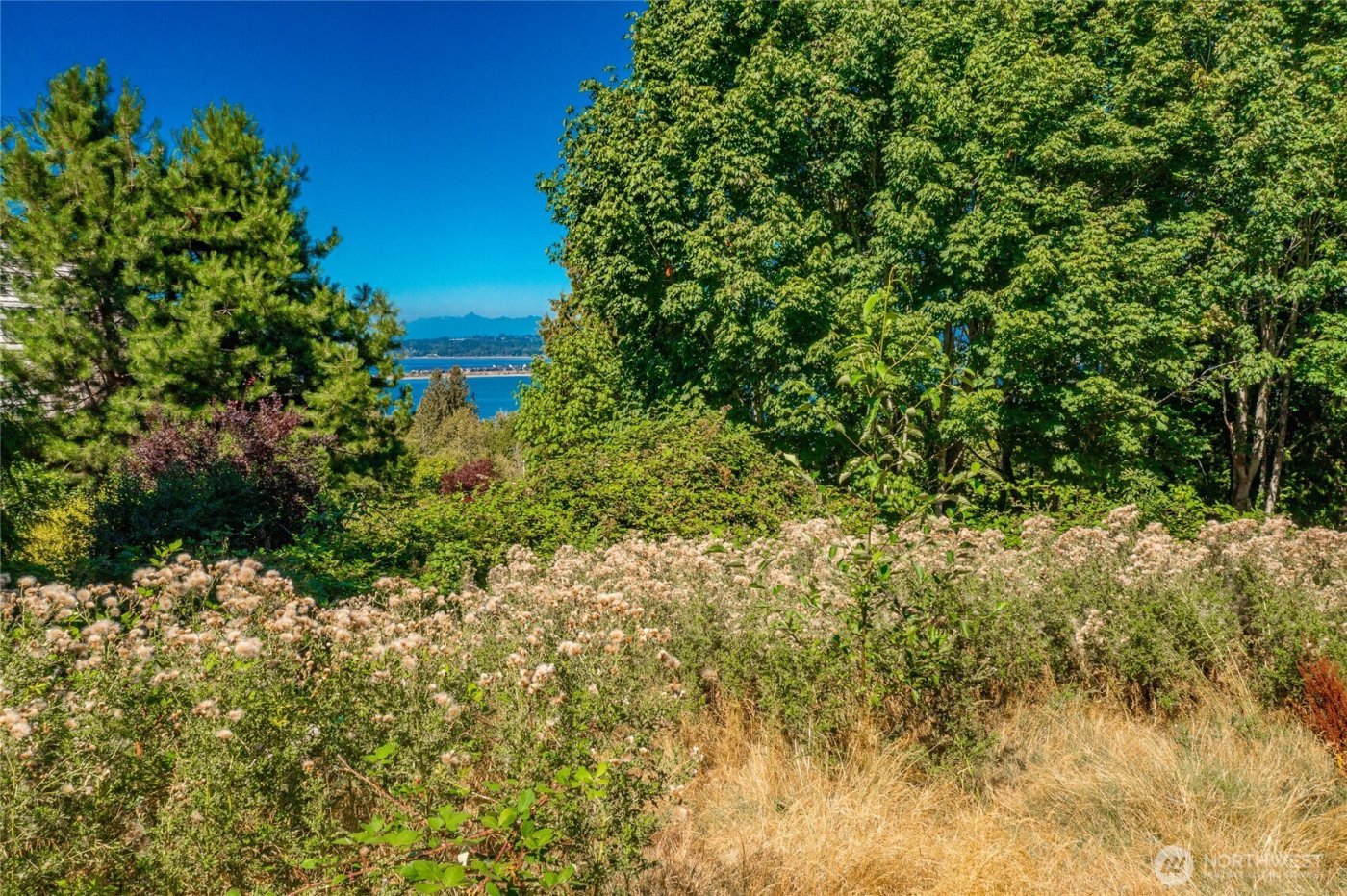 5526 Puffin Place , Blaine, WA 98230