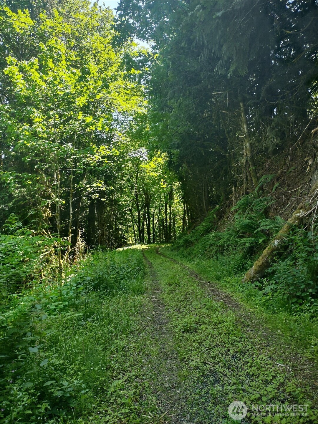 0 Glass Road , Port Angeles, WA 97207