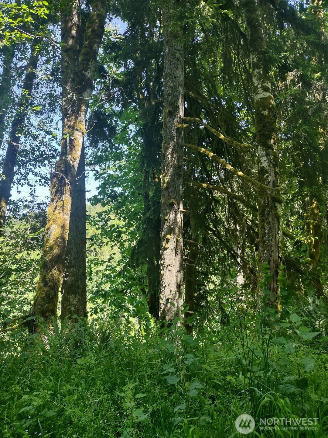 0 Glass Road , Port Angeles, WA 97207