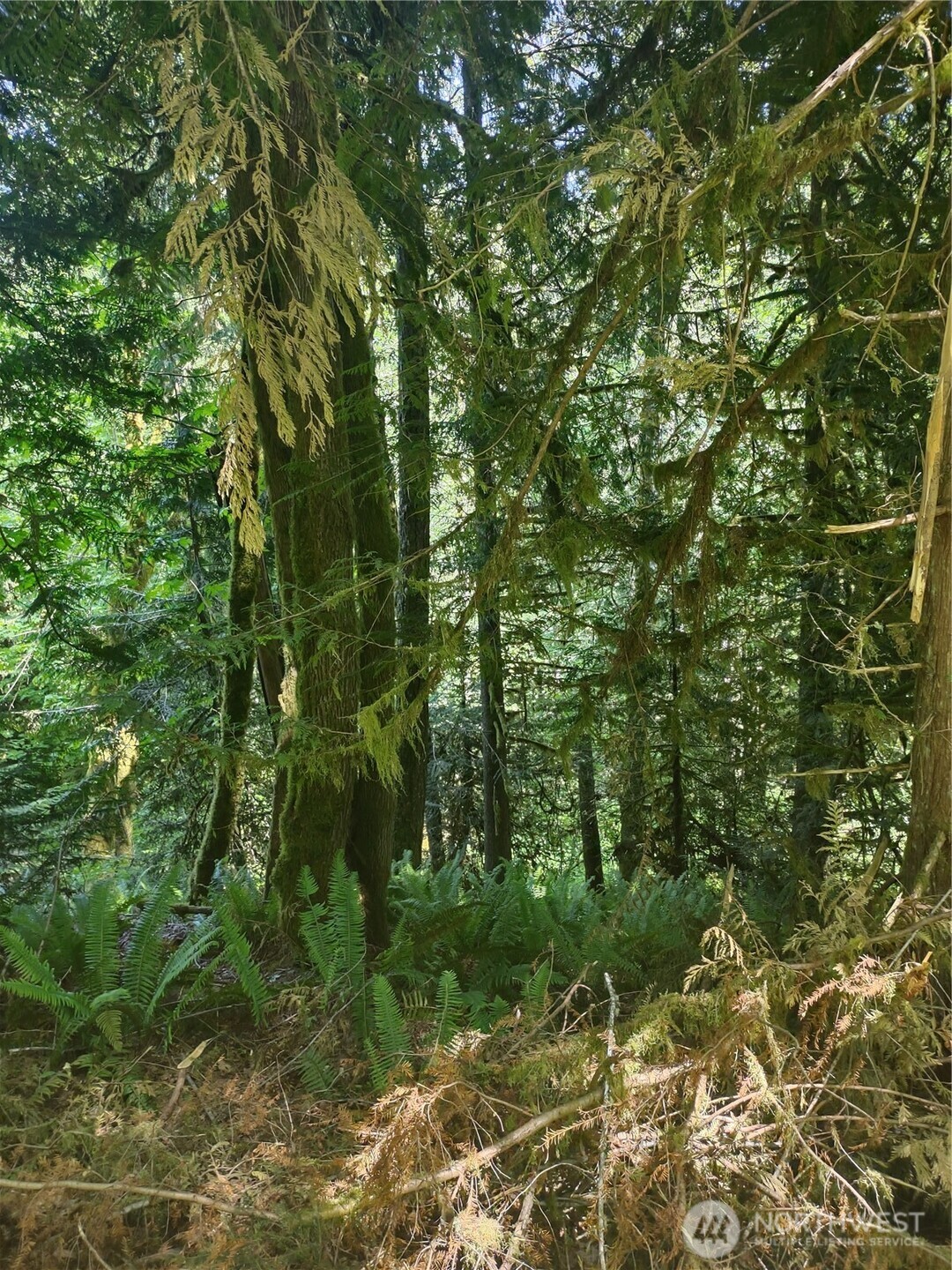 0 Glass Road , Port Angeles, WA 97207