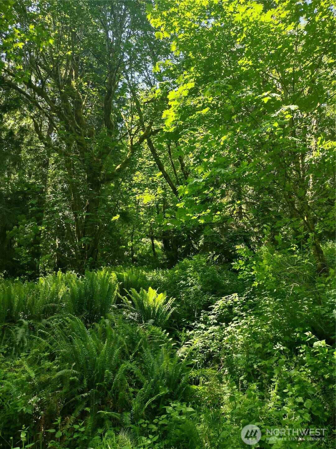 0 Glass Road , Port Angeles, WA 97207