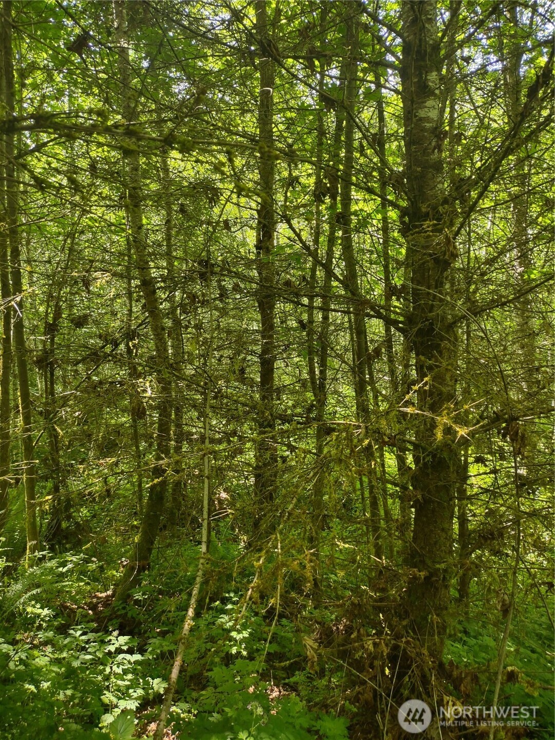 0 Glass Road , Port Angeles, WA 97207