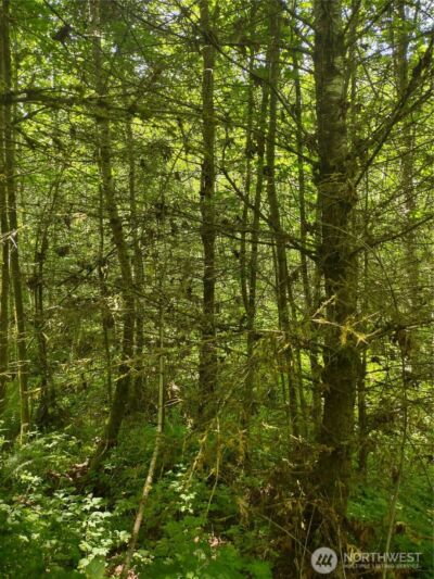 0 Glass Road , Port Angeles, WA 97207 - Photo 6
