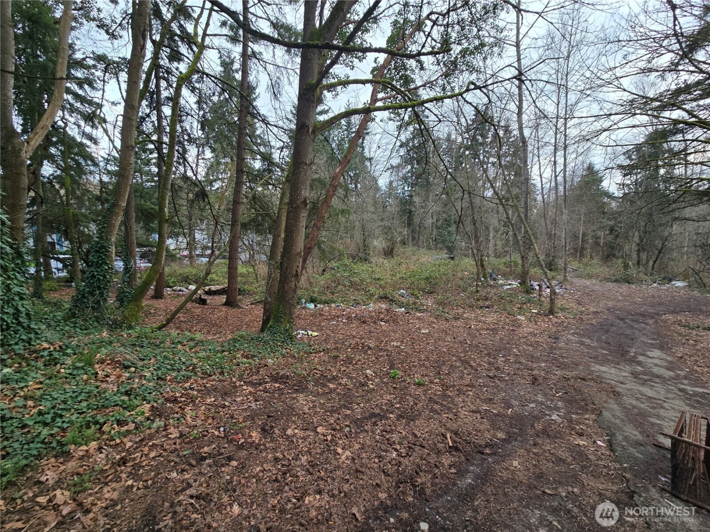 25 xxx S 260th Street , Kent, WA 98032