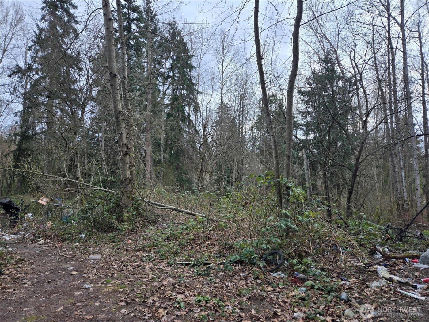 25 xxx S 260th Street , Kent, WA 98032