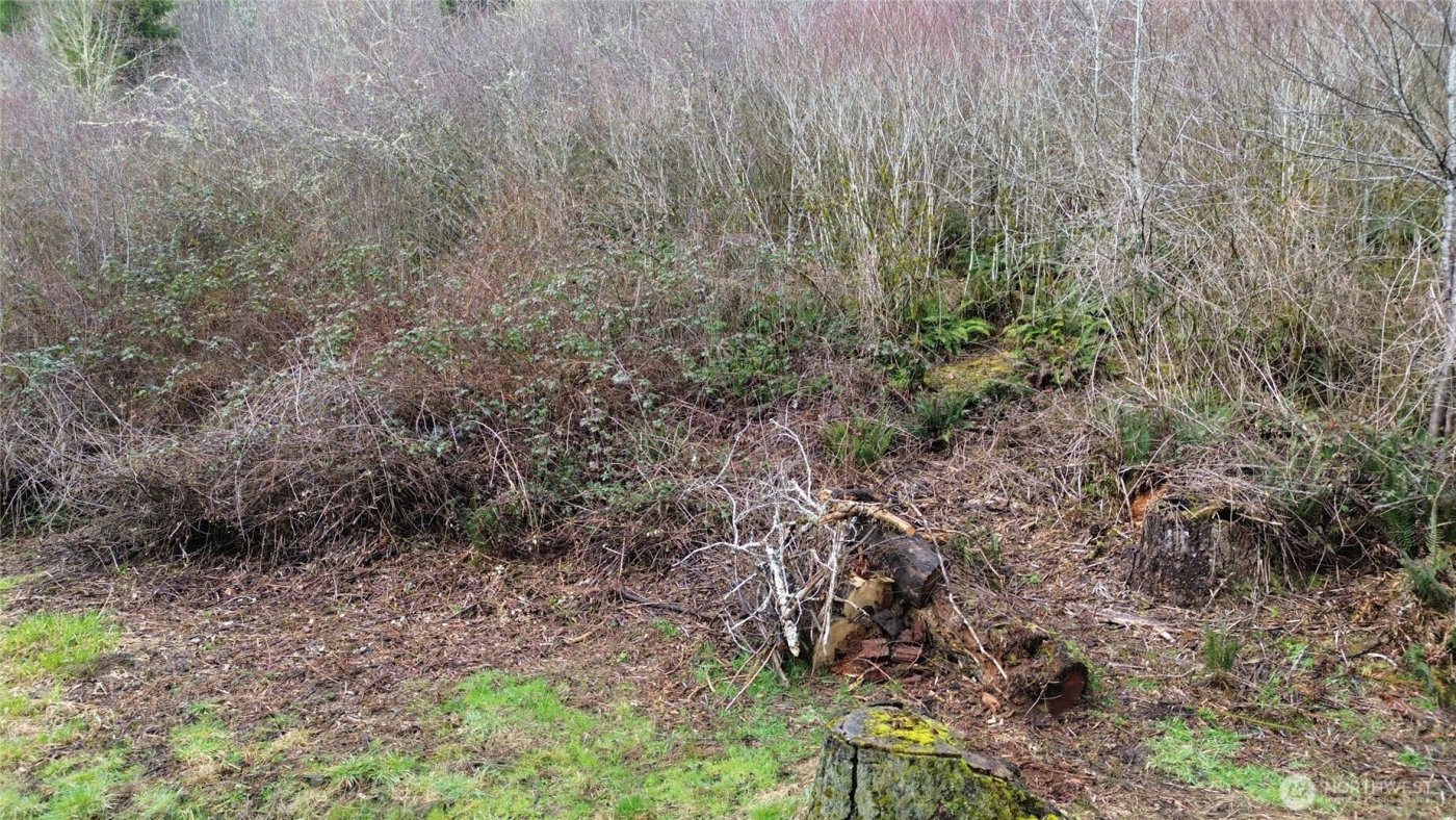 573 Clearwater Road , Kelso, WA 98626