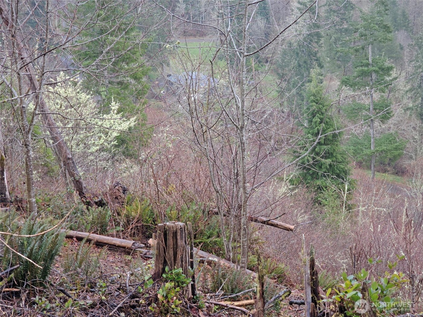 573 Clearwater Road , Kelso, WA 98626