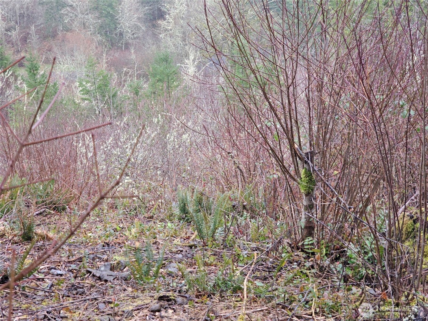 573 Clearwater Road , Kelso, WA 98626