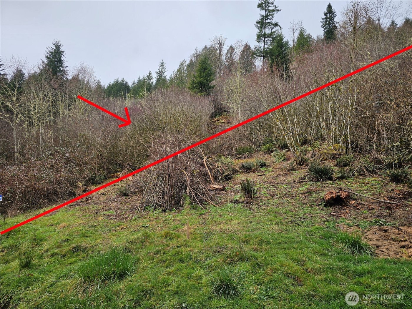 573 Clearwater Road , Kelso, WA 98626