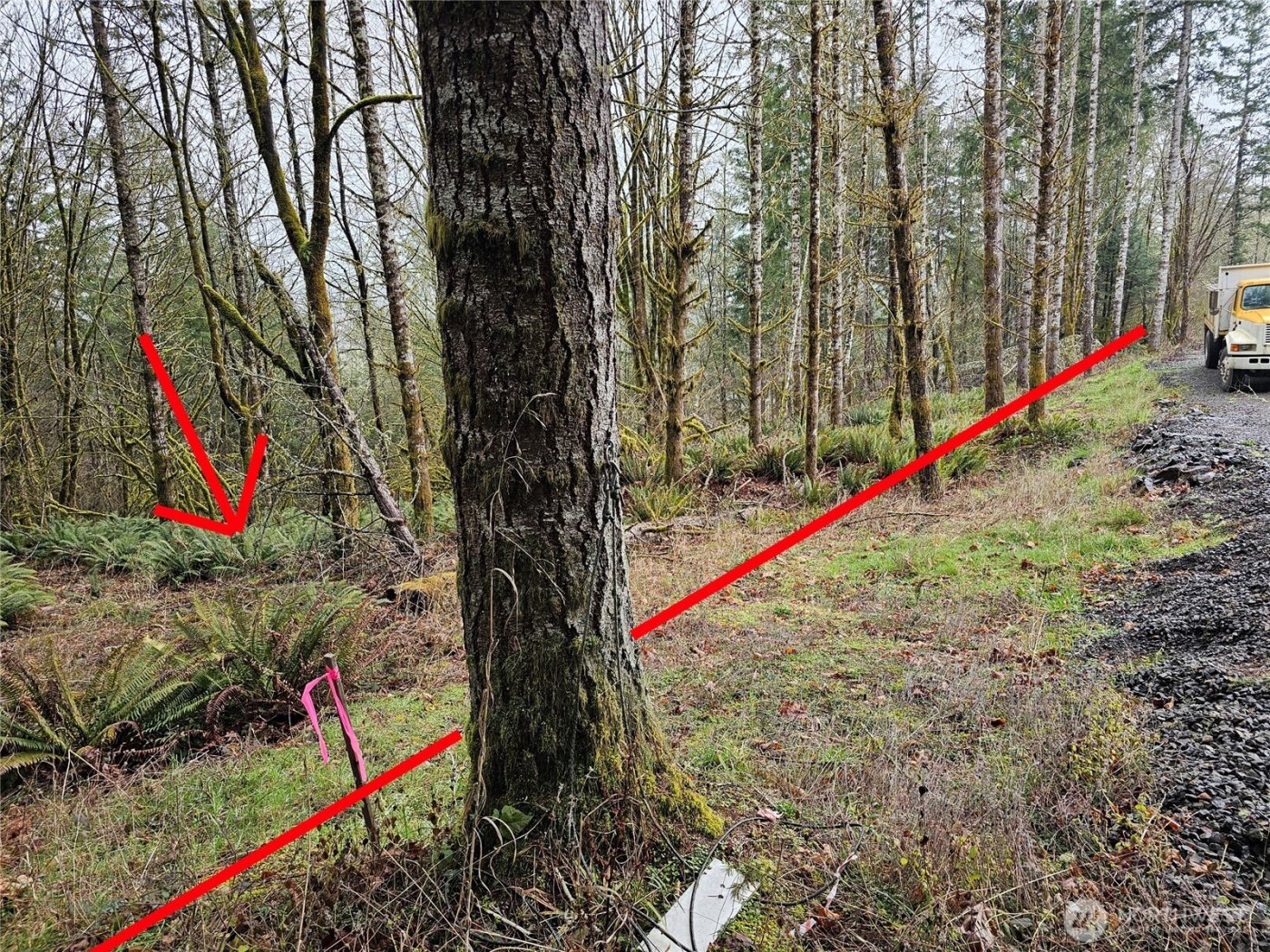 573 Clearwater Road , Kelso, WA 98626